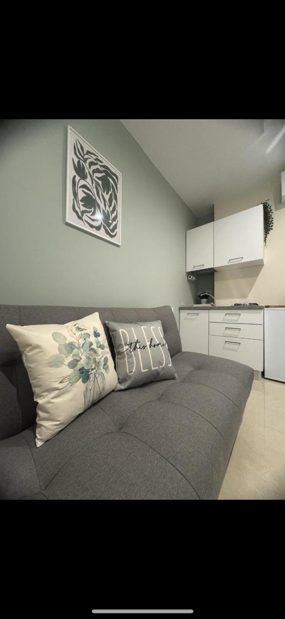 Serene Apartment